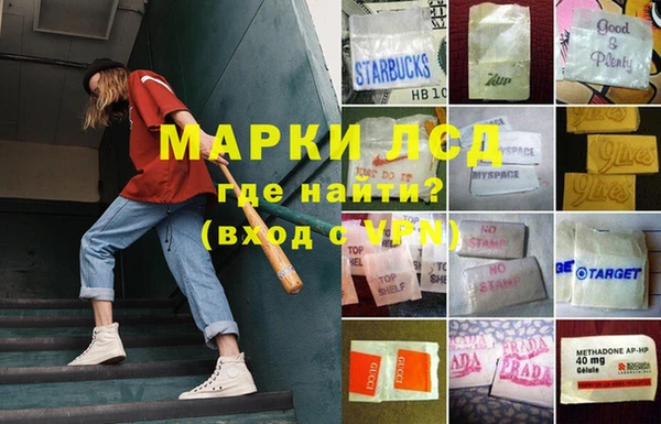 гашик Богданович