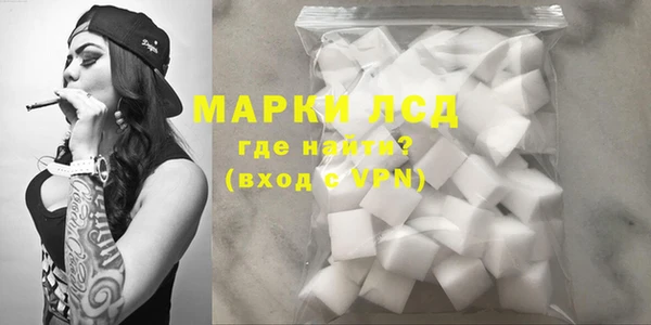 гашик Богданович