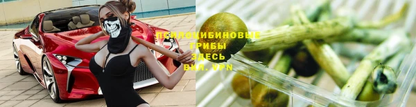 гашик Богданович